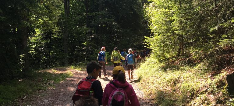 Buch- und Waldabenteuer auf Kohlern