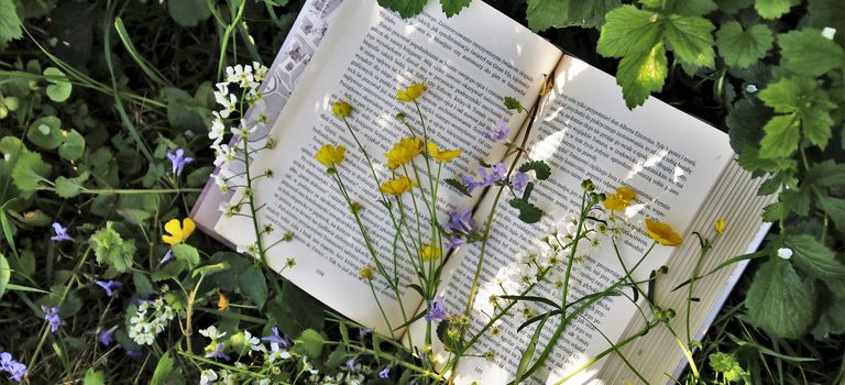 Natur und Literatur pur